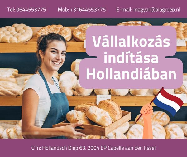 Vállalkozás indítása Hollandiában III